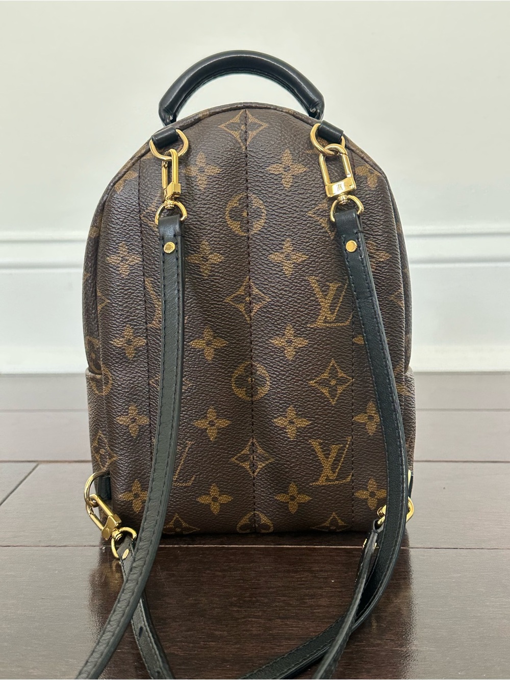 Louis Vuitton Palm Springs Mini Backpack - Picture 3 of 16